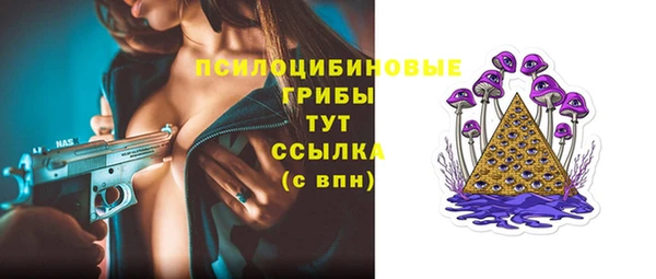 МДМА Белокуриха