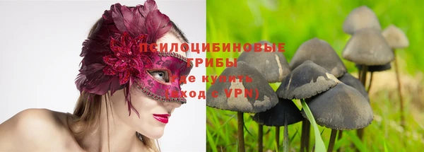 МДМА Белокуриха